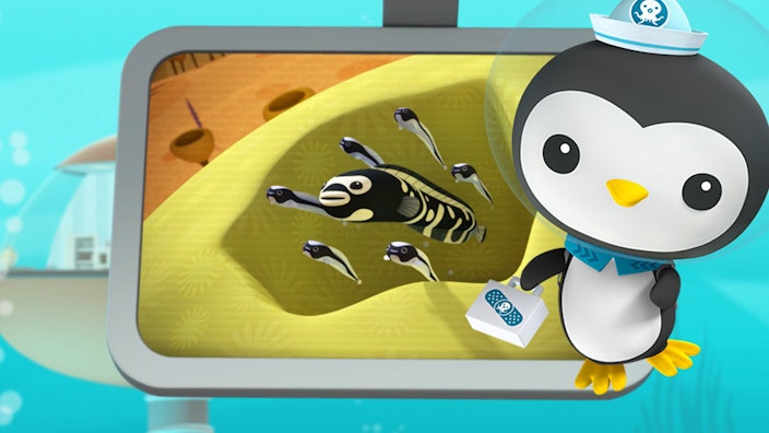 Das Okto-Lied Weißstreifen-Aalgrundeln