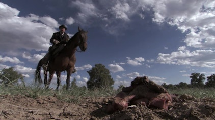 Wolfblood Entschlüsselt Intelligenz