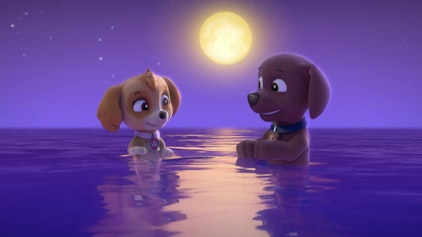 PAW Patrol - Helfer auf vier Pfoten Die Meerfellfreunde