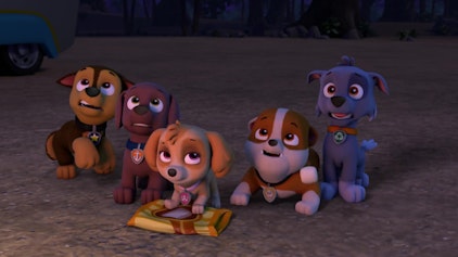 PAW Patrol - Helfer auf vier Pfoten Das Geräusch aus dem Dschungel