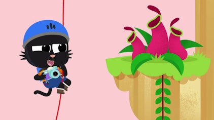 Milo Milo, der Botaniker