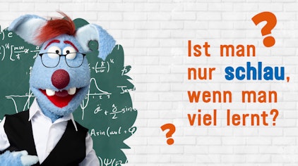Frag Woozle! - Die Antworten Ist man nur schlau, wenn man viel lernt?