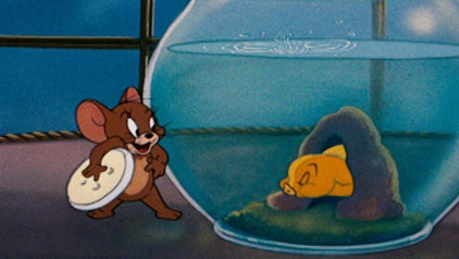 Tom und Jerry Mein Freund der Goldfisch