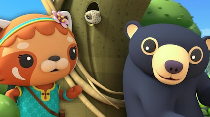 Die Oktonauten auf dem Festland Das Baumstumpfhotel