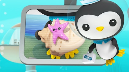 Das Okto-Lied Der Seestern