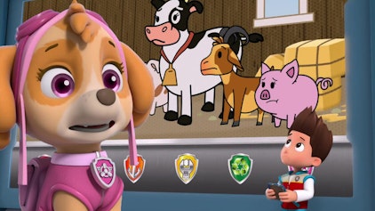 PAW Patrol - Helfer auf vier Pfoten Die Besserwisser-Drohnen-Reflektoren