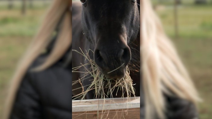 Hypezeit Shorts So füttert Hella Gabbert ihre Ponys?