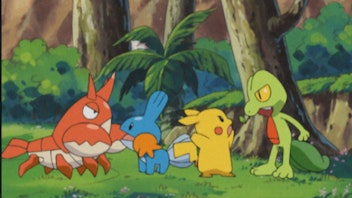 Pokémon: Advanced Endlich Freunde!