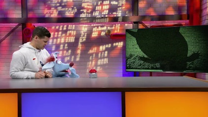 Woozle Goozle Tiere in der Stadt