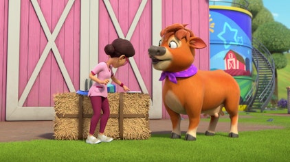 Rubble & Crew Die Crew baut eine Tierklinik