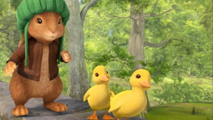 Peter Hase Ein ganz besonderes Geschenk