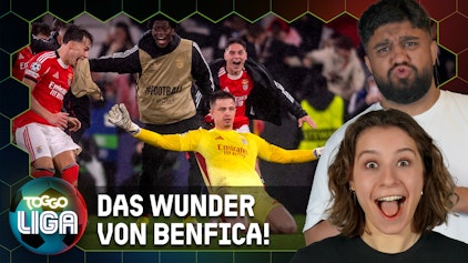 TOGGO Liga ALLES was du JETZT über die Champions League wissen musst!