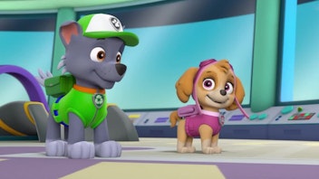 PAW Patrol - Kurze Clips Entflogene Vögel
