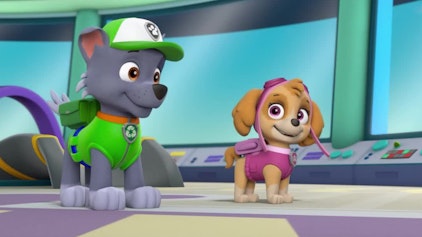 PAW Patrol - Kurze Clips Entflogene Vögel