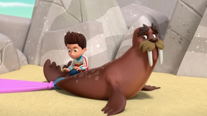 PAW Patrol - Helfer auf vier Pfoten Die Überraschung