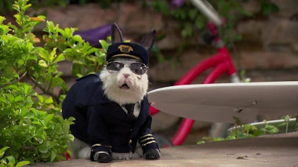 Die Thundermans Opa Thunderman