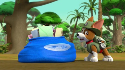 PAW Patrol - Helfer auf vier Pfoten Paket in Gefahr