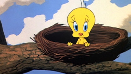 Bugs Bunny & Looney Tunes Vöglein, Vöglein auf dem Baum