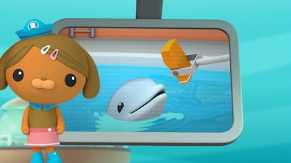 Das Okto-Lied Der Babydelphin