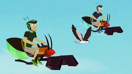 Go Wild! - Mission Wildnis Der verlorene Schlüssel