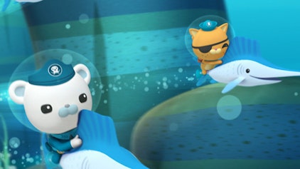 Die Oktonauten Die Oktonauten und der Seehund