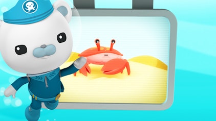 Das Okto-Lied Die Winkerkrabben