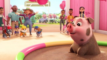 Rubble & Crew - Die besten Momente Die besten Tierabenteuer aus Staffel 1