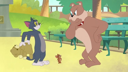 Tom & Jerry in New York Teddy-Ärger / In der Schweiz / Dream-Team / Soldat Tom