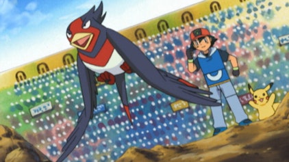 Pokémon: Advanced Battle Und der Gewinner ist?