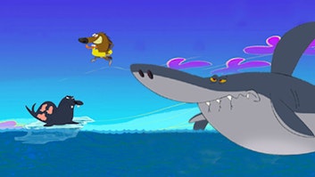 Zig & Sharko Das Rennen