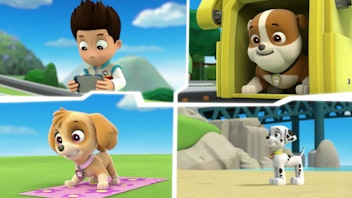 PAW Patrol - Helfer auf vier Pfoten Der kleine Tut