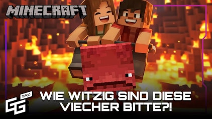Minecraft Wir wollten doch ein neues Biom finden! | Minecraft Folge 28