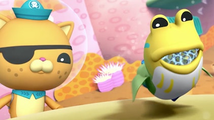 Die Oktonauten Die Oktonauten und der Kieferfisch