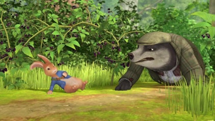 Peter Hase Die Geschichte von Hopsis und Flopsis Abenteuer