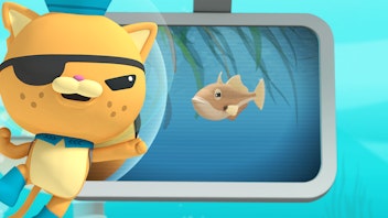 Das Okto-Lied Der Drückerfisch