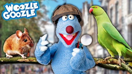 Woozle Goozle Tiere in der Stadt