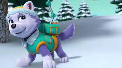 PAW Patrol - Kurze Clips Schneegestöber