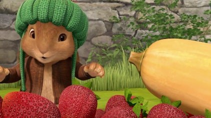 Peter Hase Die Geschichte vom Überraschungs-Held