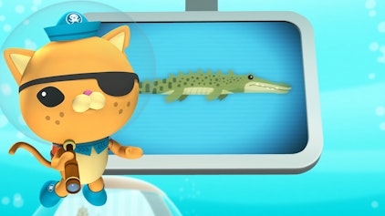 Das Okto-Lied Das Salzwasserkrokodil