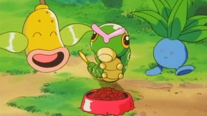 Pokémon: Indigo Liga Bisasam und das versteckte Idyll