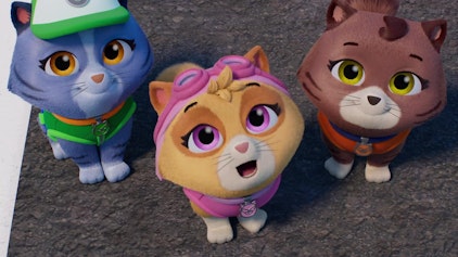 PAW Patrol - Helfer auf vier Pfoten Das Rätsel der verschwundenen Kätzchen