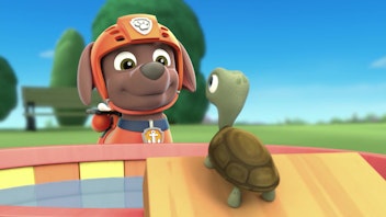 PAW Patrol - Helfer auf vier Pfoten Die Schildkröten-Kriese