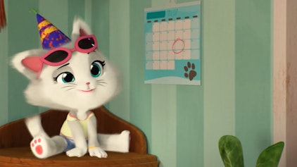 44 Cats Oma Pinas Geburtstag