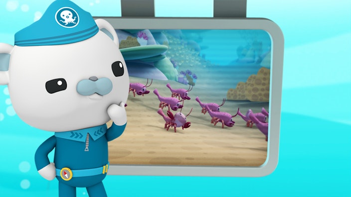 Das Okto-Lied Die Riffhummer