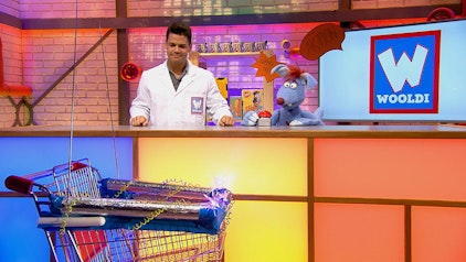 Woozle Goozle und die Weltentdecker Supermarkt