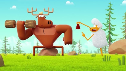 Karate Schaf Trico, wo bist du?