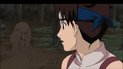 Naruto Shippuden Nejis Abenteuer