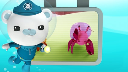 Das Okto-Lied Der Einsiedlerkrebs