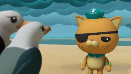 Die Oktonauten auf dem Festland Die sturen Albatrosse