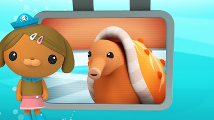 Das Okto-Lied Lied: Die Kegelschnecke